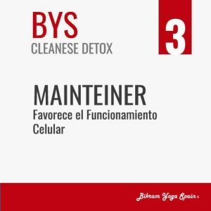 Mainteiner